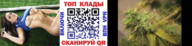 APVP Дятьково