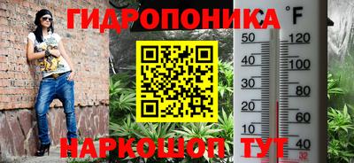 крисы Абакан