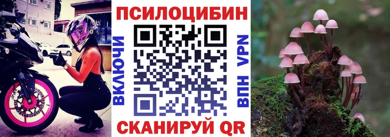 Псилоцибиновые грибы Psilocybe Дятьково