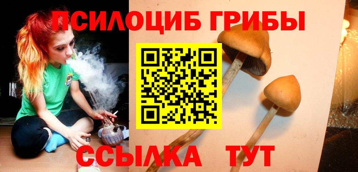 Дятьково  Галлюциногенные грибы Cubensis  Вход с VPN  купить  цена  Псилоцибиновые грибы мицелий 